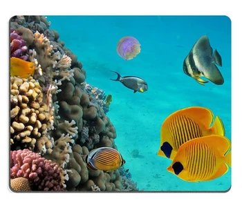 Roger Mouse Pad de Borracha Natural Mousepad medusa-da-Lua com peixes tropicais e corais